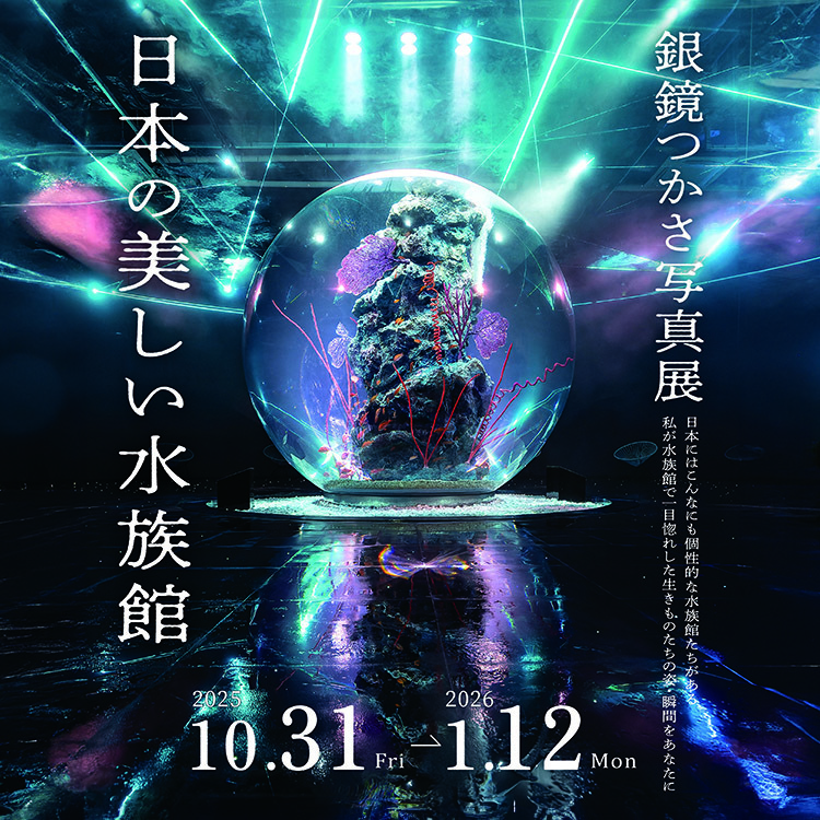 【オープン記念催事】 銀鏡つかさ写真展「日本の美しい水族館」を開催