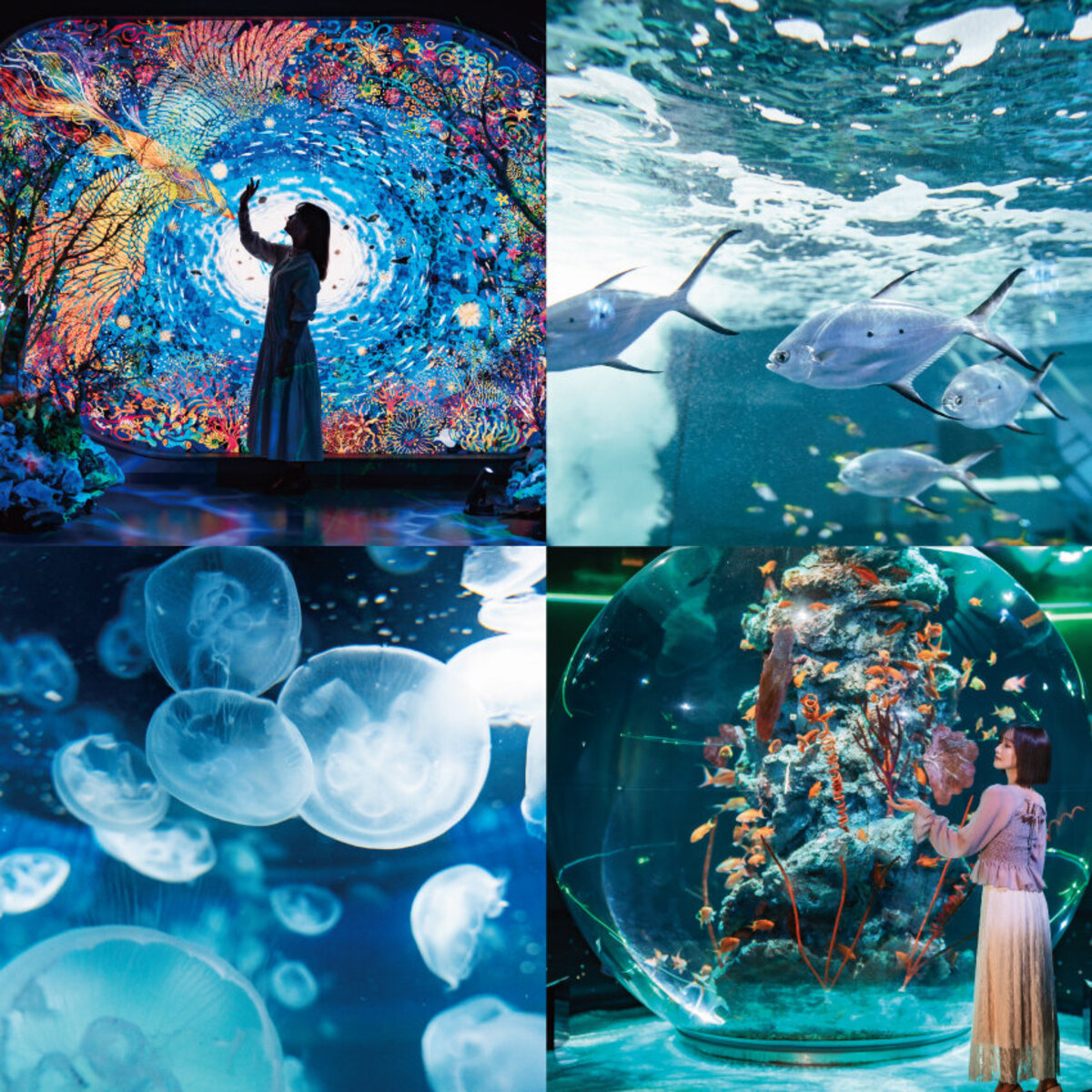 inuinu様　①②シーグラスアート　水族館　アクアリウム inuinu様 ①②シーグラスアート 水族館 アクアリウム inuinu様 ①②