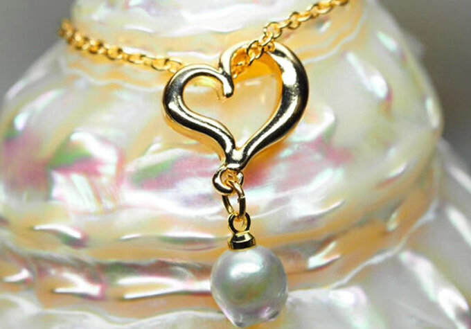 真珠の取り出し体験